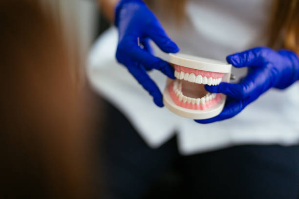 Best Dental Fillings (Composite and Amalgam)  in Cleveland Heights, OH